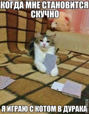 111.jpg (96.8 КБ) 5533 просмотра 111.jpg