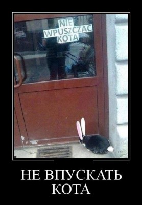 222.jpg (62.11 КБ) 5082 просмотра 222.jpg