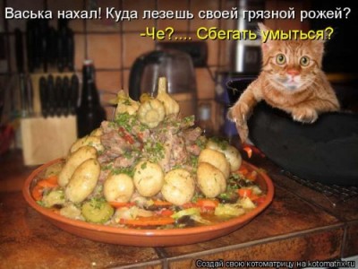 васька.jpg (47.58 КБ) 5515 просмотров васька.jpg