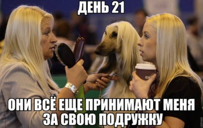 11.jpg (58.99 КБ) 5456 просмотров 11.jpg