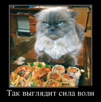 3881680_da48e12c.jpg (62.31 КБ) 4916 просмотров 3881680_da48e12c.jpg