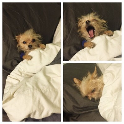 111.jpg (56.73 КБ) 5357 просмотров 111.jpg