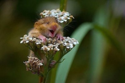 getImage-13.jpeg (26.43 КБ) 4287 просмотров getImage-13.jpeg