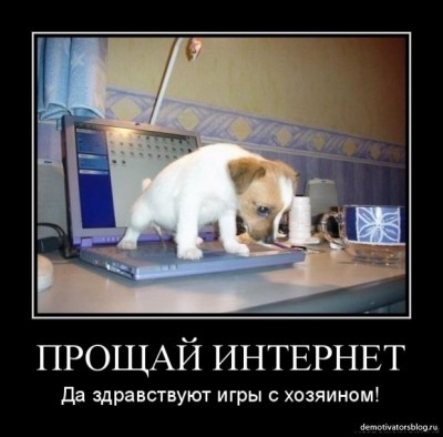 image.jpg (69.75 КБ) 4843 просмотра image.jpg