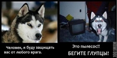 1.jpg (48.71 КБ) 5303 просмотра 1.jpg