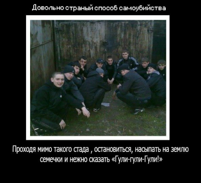 20141003_122111.png (273.37 КБ) 4811 просмотров 20141003_122111.png