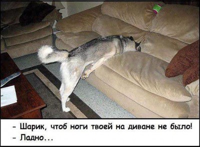 image.jpg (75.56 КБ) 5257 просмотров image.jpg