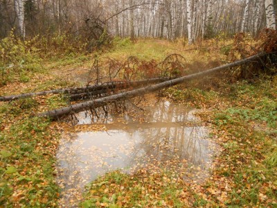 DSCN2234.JPG
