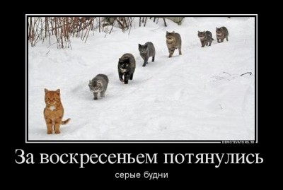 image.jpg (72.24 КБ) 4745 просмотров image.jpg