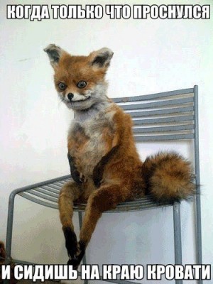 1.jpg (51.92 КБ) 7454 просмотра 1.jpg