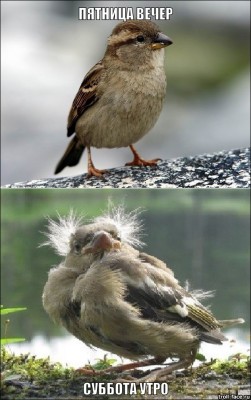 1.jpg (196.73 КБ) 7397 просмотров 1.jpg