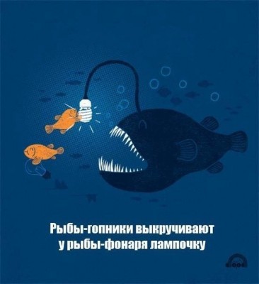 рыбы-рыба-фонарь-рыбы-гопники-1570961.jpeg (39.24 КБ) 7331 просмотр рыбы-рыба-фонарь-рыбы-гопники-1570961.jpeg