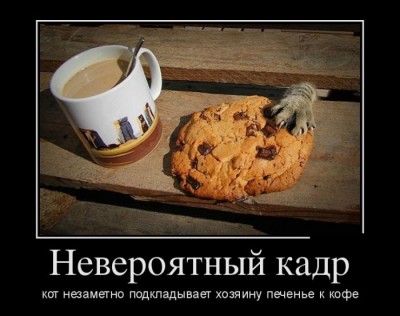 2.jpg (60.51 КБ) 4534 просмотра 2.jpg