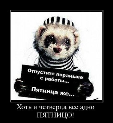 45458_10a7.jpeg (45.9 КБ) 4938 просмотров 45458_10a7.jpeg