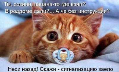 getImage-54.jpeg (43.94 КБ) 5533 просмотра getImage-54.jpeg