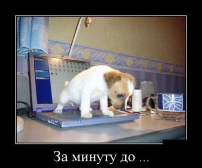 22.jpg (52.03 КБ) 4889 просмотров 22.jpg