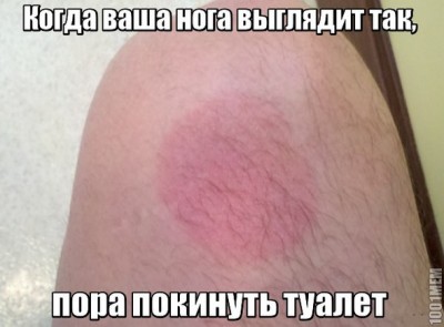 11.jpg (73.22 КБ) 6916 просмотров 11.jpg