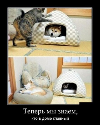 222.jpg (49.53 КБ) 4797 просмотров 222.jpg