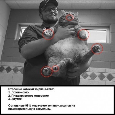 7SAAf_IaIYA.jpg (66.17 КБ) 6974 просмотра 7SAAf_IaIYA.jpg