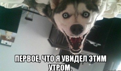 jlQ5LCnnDLY.jpg (31.07 КБ) 6974 просмотра jlQ5LCnnDLY.jpg