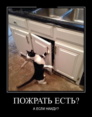 2.jpg (52.29 КБ) 4746 просмотров 2.jpg