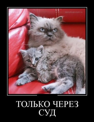 2.jpg (60.11 КБ) 4570 просмотров 2.jpg