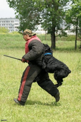 zuH5XmVt.jpg (118.12 КБ) 10044 просмотра zuH5XmVt.jpg