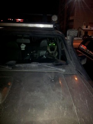 IMG-20141112-WA0009.jpg (64.83 КБ) 10030 просмотров IMG-20141112-WA0009.jpg