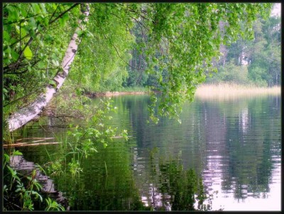 3867126.jpg (143.15 КБ) 10118 просмотров 3867126.jpg