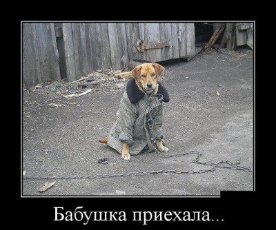 222.jpg (97.21 КБ) 4226 просмотров 222.jpg