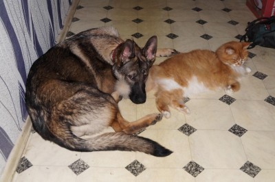 DSC00605.JPG (138.58 КБ) 16577 просмотров DSC00605.JPG