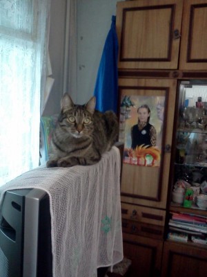 IMG080.jpg (87.76 КБ) 16542 просмотра IMG080.jpg