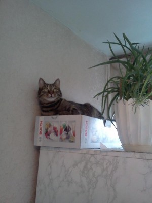 IMG090.jpg (57.35 КБ) 16634 просмотра IMG090.jpg