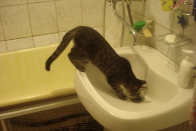 DSC03709.JPG (73.02 КБ) 16542 просмотра DSC03709.JPG