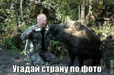 111.jpg