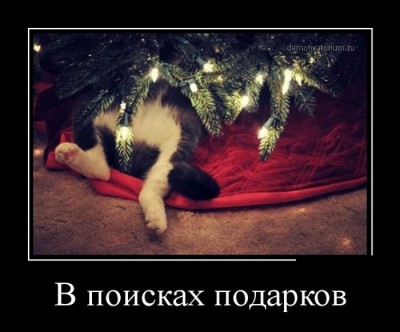 222.jpg (55.98 КБ) 6868 просмотров 222.jpg