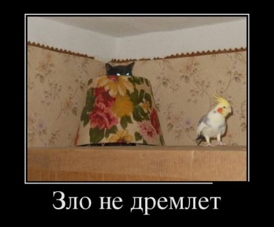 222.jpg (39.72 КБ) 6749 просмотров 222.jpg