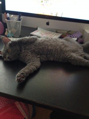 IMG_6291.jpg (1.82 МБ) 16256 просмотров IMG_6291.jpg