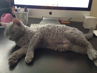 IMG_6294_2.JPG (1.49 МБ) 16356 просмотров IMG_6294_2.JPG