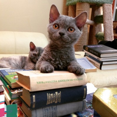 IMG_6091.JPG (1.23 МБ) 16348 просмотров IMG_6091.JPG