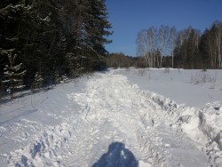 20150219_124318.jpg