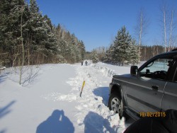 IMG_0917.jpg