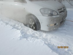 IMG_0913.jpg