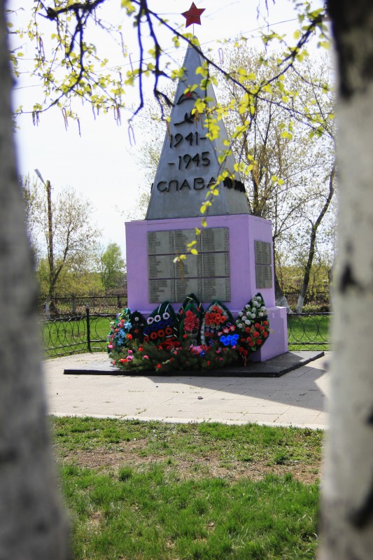 IMG_8006.jpg