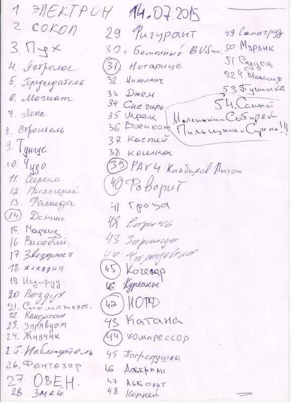 Рисунок (31).jpg
