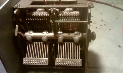 IMAG0387.jpg