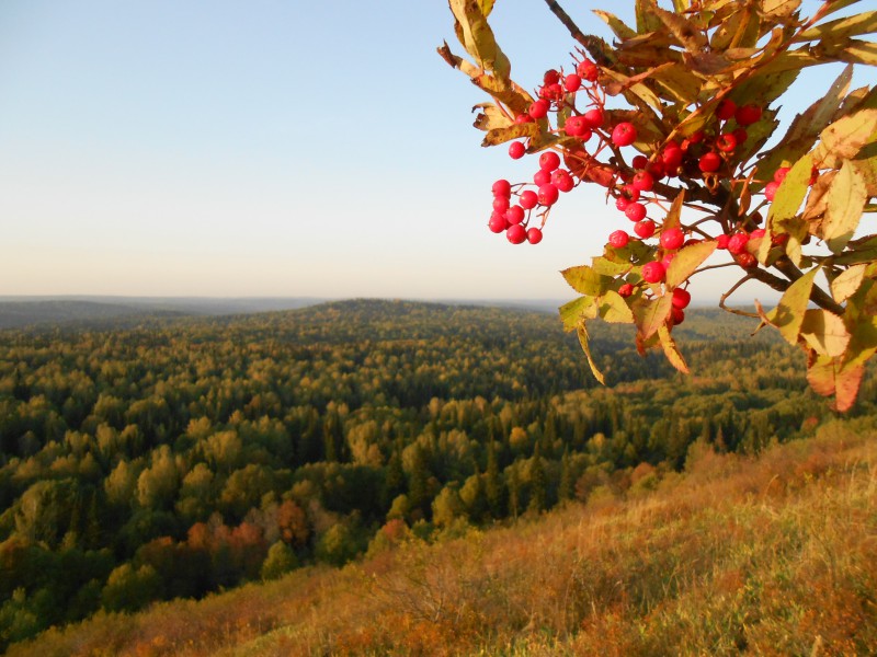 DSCN5699.JPG (3.43 МБ) 13526 просмотров DSCN5699.JPG