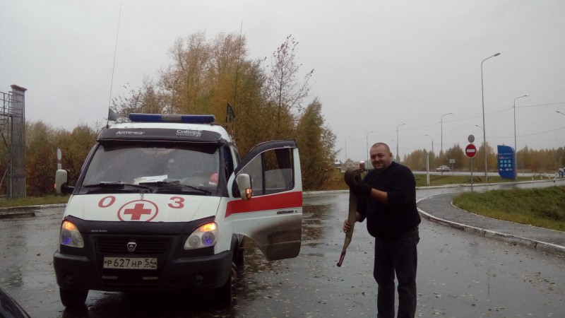 DSC_0037.JPG (830.2 КБ) 11251 просмотр DSC_0037.JPG