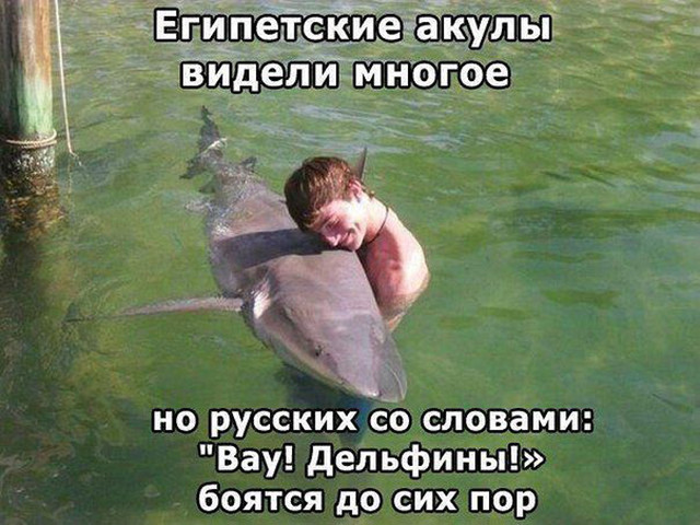 IMG_20151123_202550_41.jpg