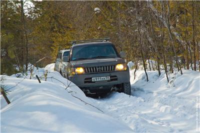 Дорожка вокруг питомника.jpg